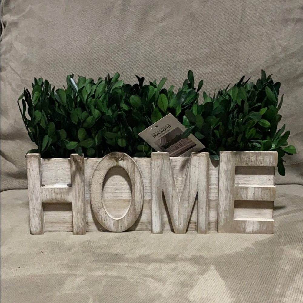 Home Boxwood Arrangement